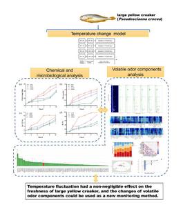 Impact of temperature fluctuations on the quality and volatile components of large yellow croaker.