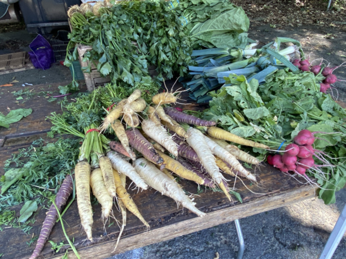 radishes