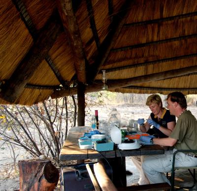 Southern African Genomes Sequenced: Benefits for Human Health Expected (2 of 2)