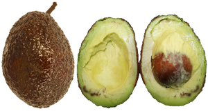 Using science to help avocados stay fresh