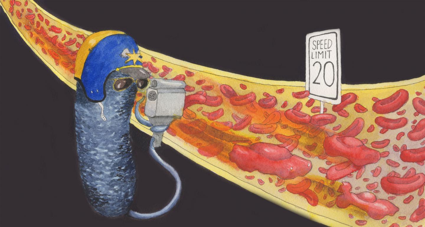 Pseudomonas Speedometer On The Job