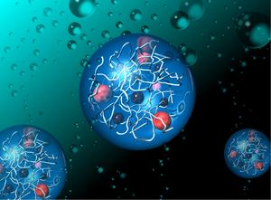 Turning hydrogels into water