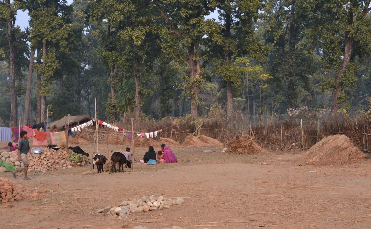 Buffer Zone in Nepal