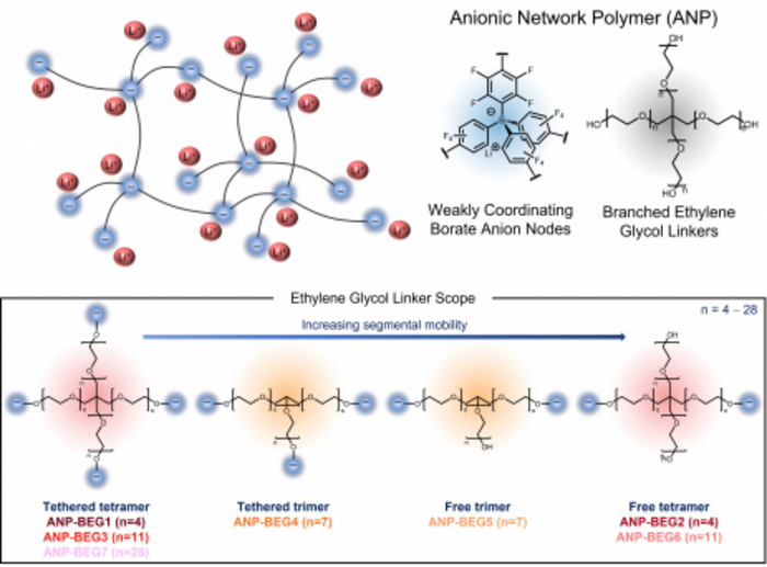 anionic borate network