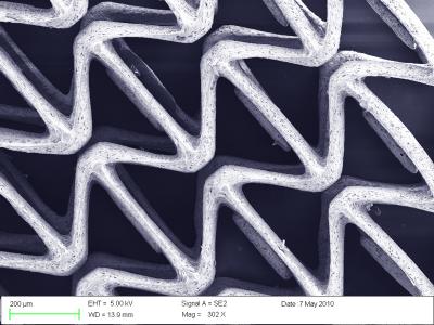 Polyethylene Glycol Scaffolds (2 of 2)