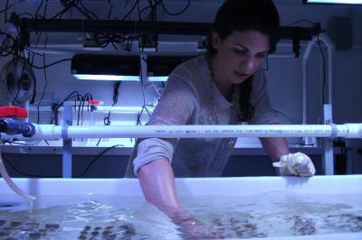 Rachel Silverstein, University of Miami Rosenstiel School of Marine & Atmospheric Science