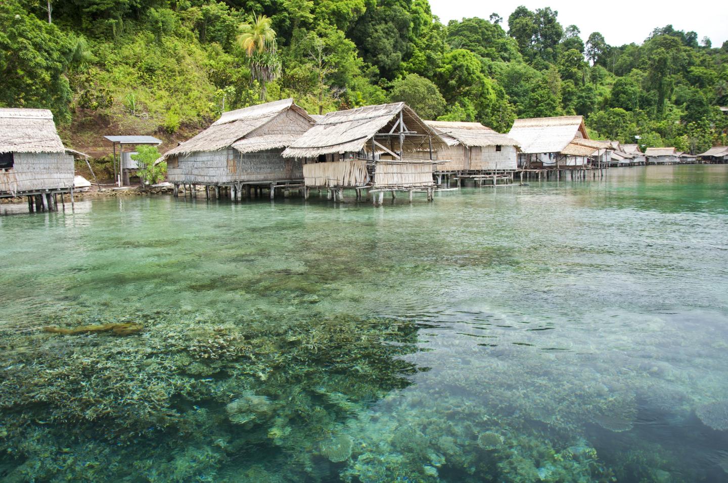 Kia Village and Reef