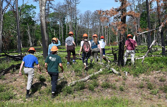 Interns trek through pine barrens