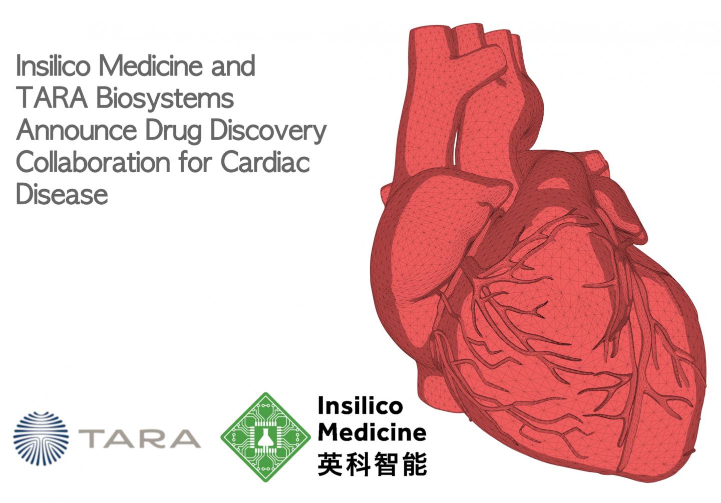 TARA Biosystems与英科智能携手 宣布就心脏病开展合作