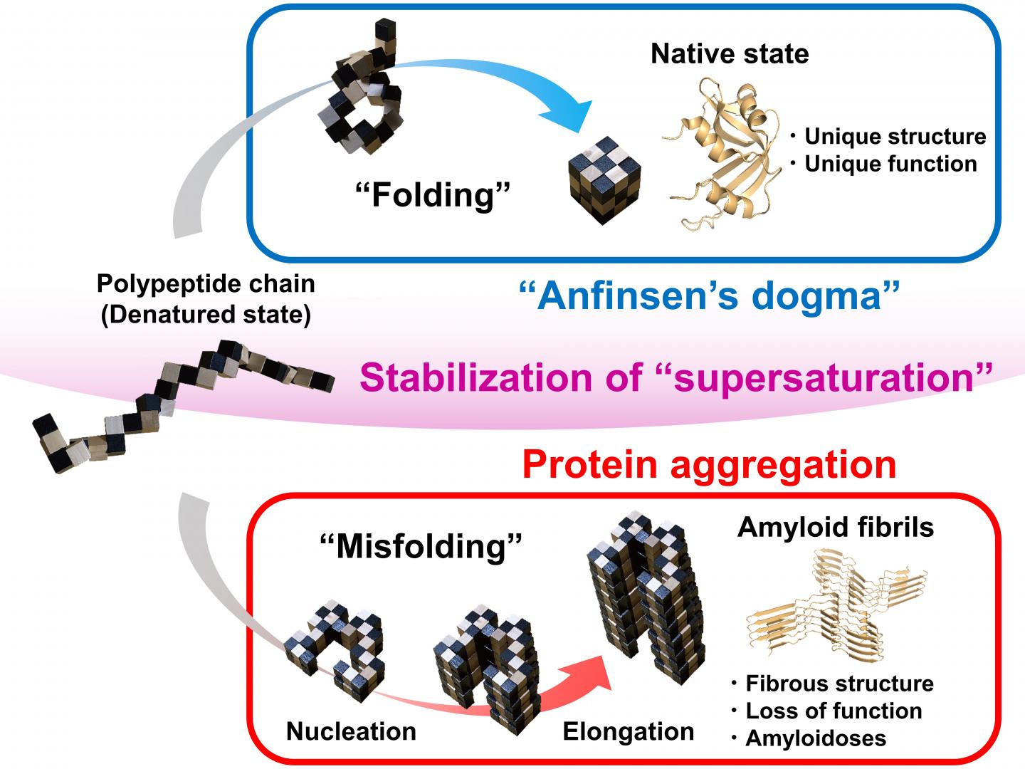 Protein Folding