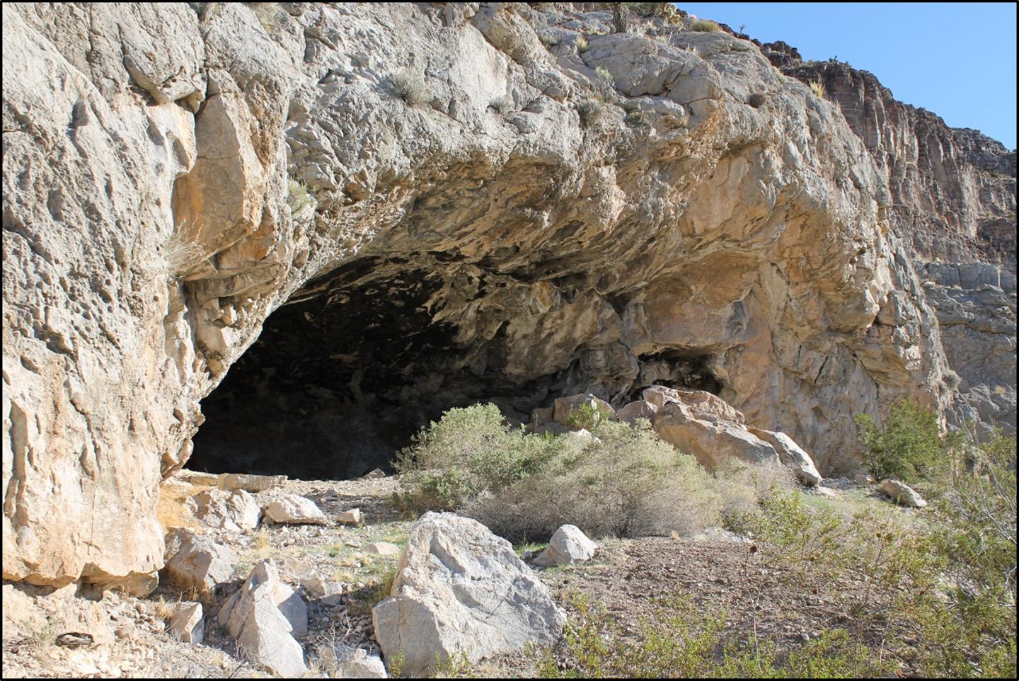 Mule Spring Rockshelter