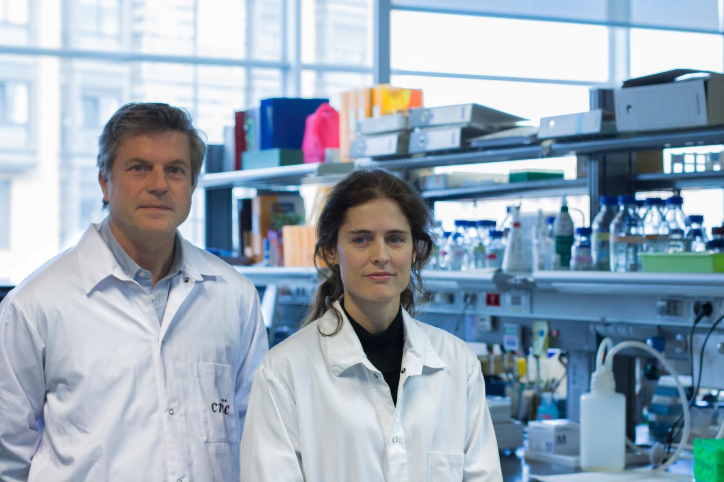Miguel Torres and Nadia Mercader, Centro Nacional de Investigaciones Cardiovasculares