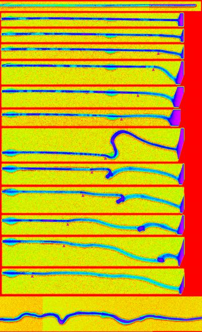 Seeing Tin Oxide Anodes Grow