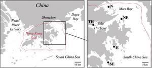 PolyU researchers advance marine conservation and sustainable seafood research