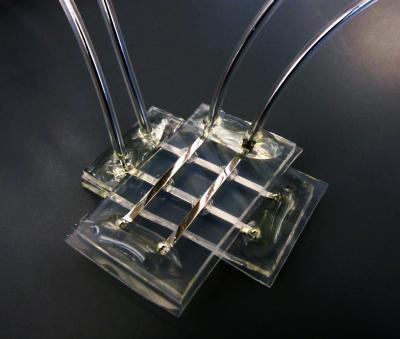 The Soft Memory Device