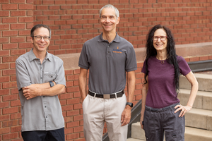 Stephen Andrew Taylor, Martin Gruebele and Carla Scaletti