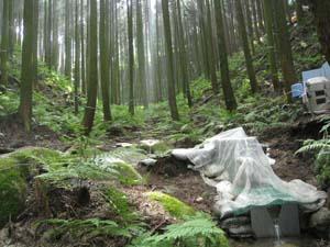 Testing Equipment in Cedar Plantation