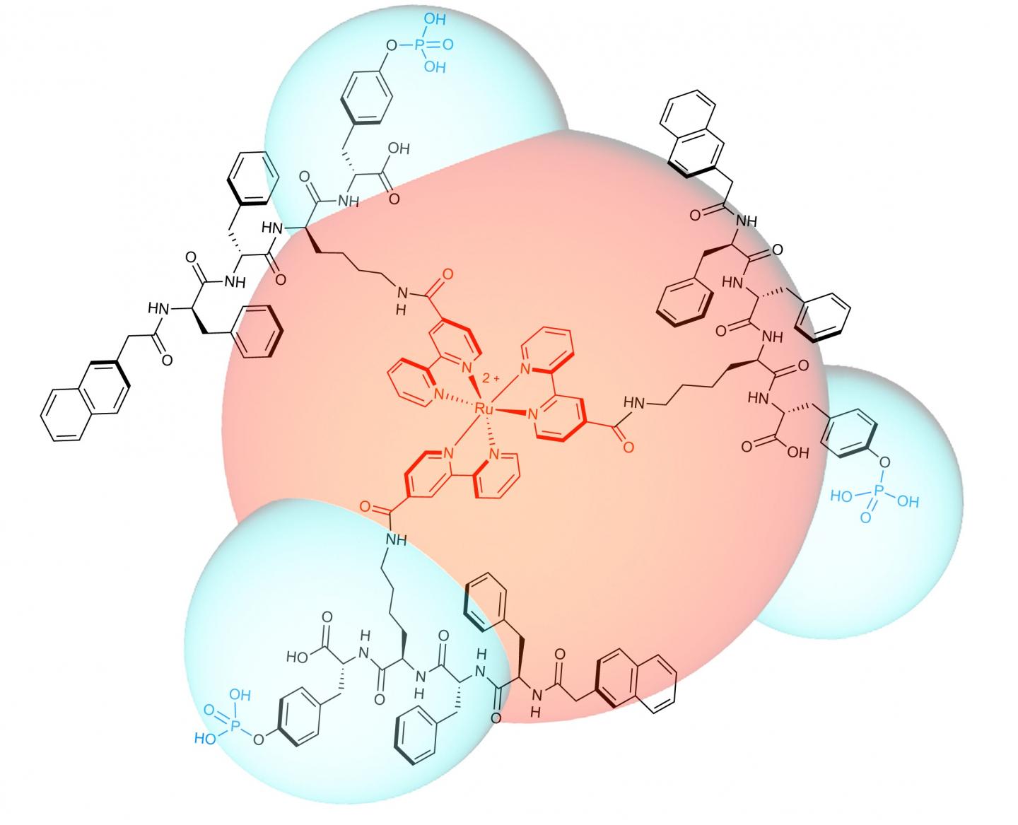 Cancer-Busting Molecule Designed and Synthesized by OIST Researchers