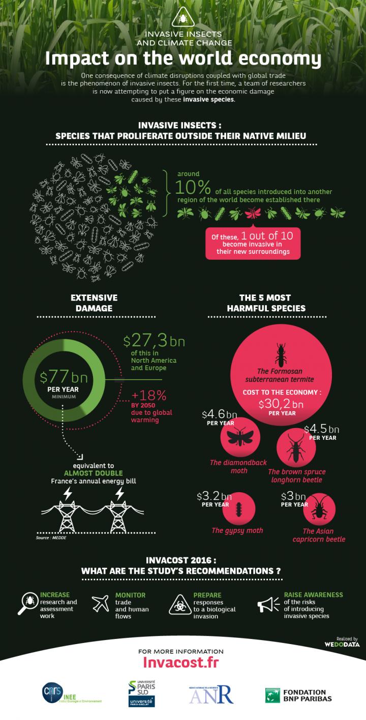 The Cost of Invasive Insects