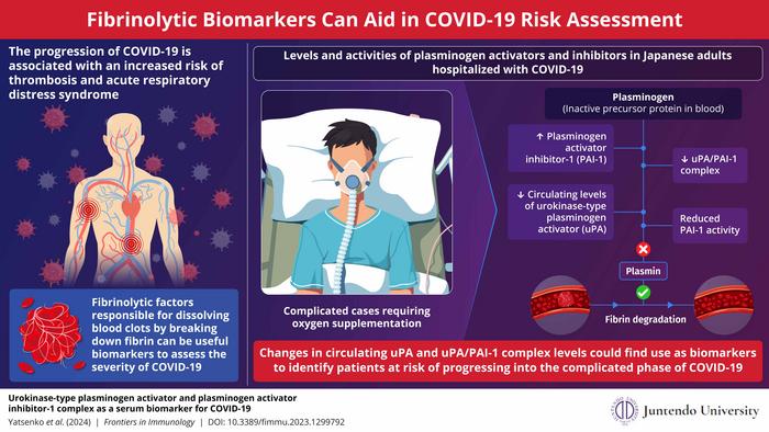 Fibrinolytic biomarkers can aid in risk assessment for COVID-19 patients.