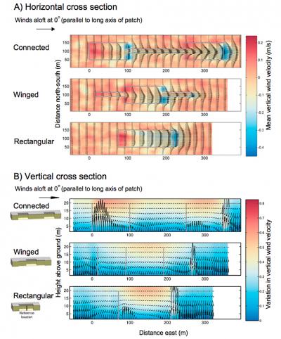 Model: Wind Dynamics and Seed Ejection