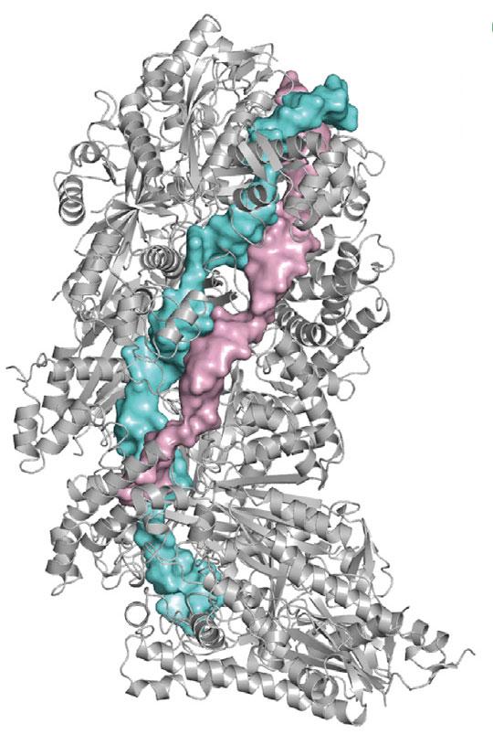 Crystal Structure 