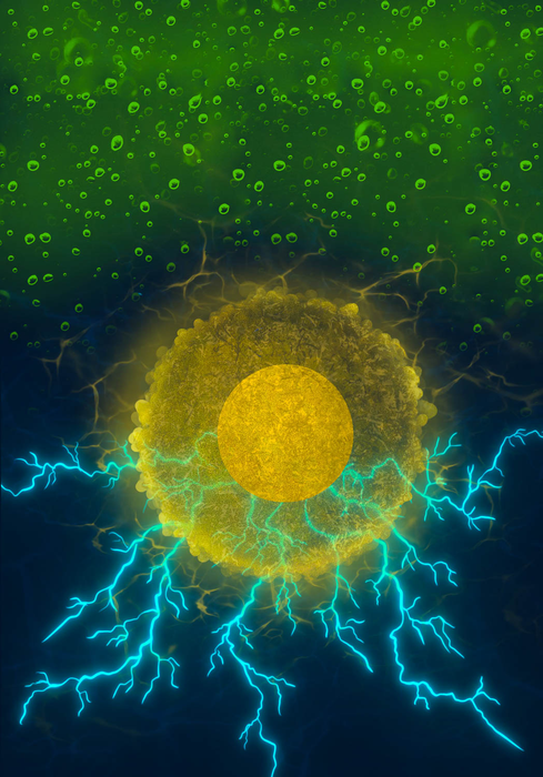 curcumin illustration