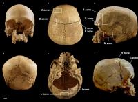 Journey of a skull: How a single human cranium wound up alone in a cave in Italy