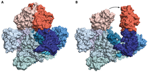 C-P lyase enzyme