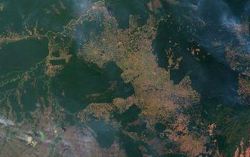 Fires and Deforestation on the Amazon Frontier, Rondonia, Brazil