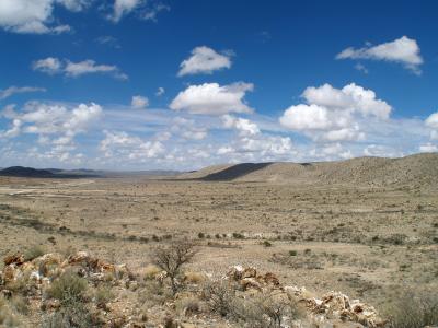 A More Ancient Origin of Animal-Built Reefs ( | EurekAlert!