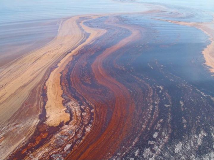 Deepwater Horizon Oil Spill