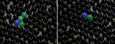 Explosives and Fish are Traced with Chemical Tags (2 of 2)