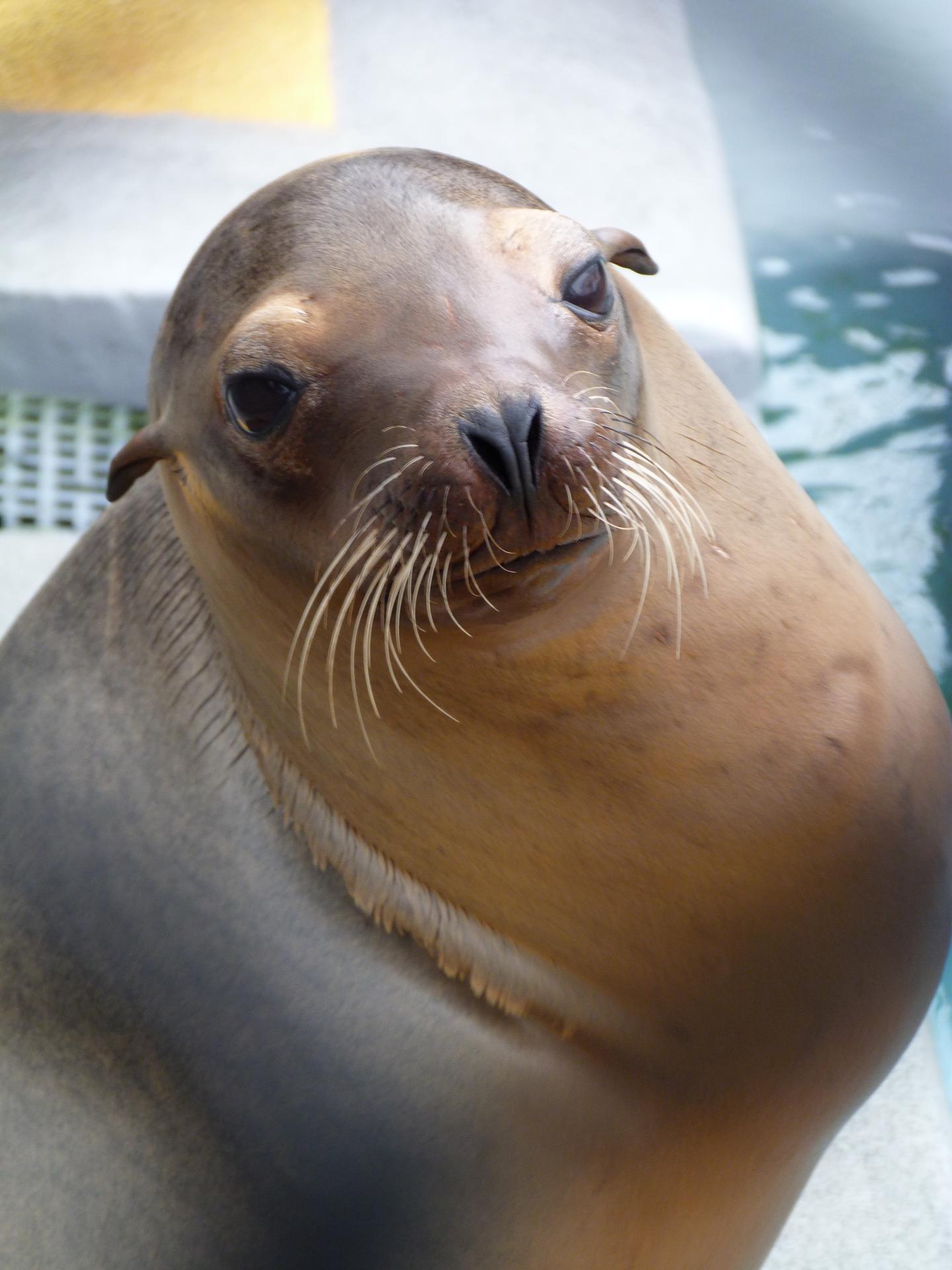 Nikkimadie During Rehab