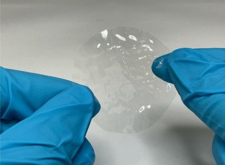 disc of transparent plastic material held with fingers in blue plastic gloves