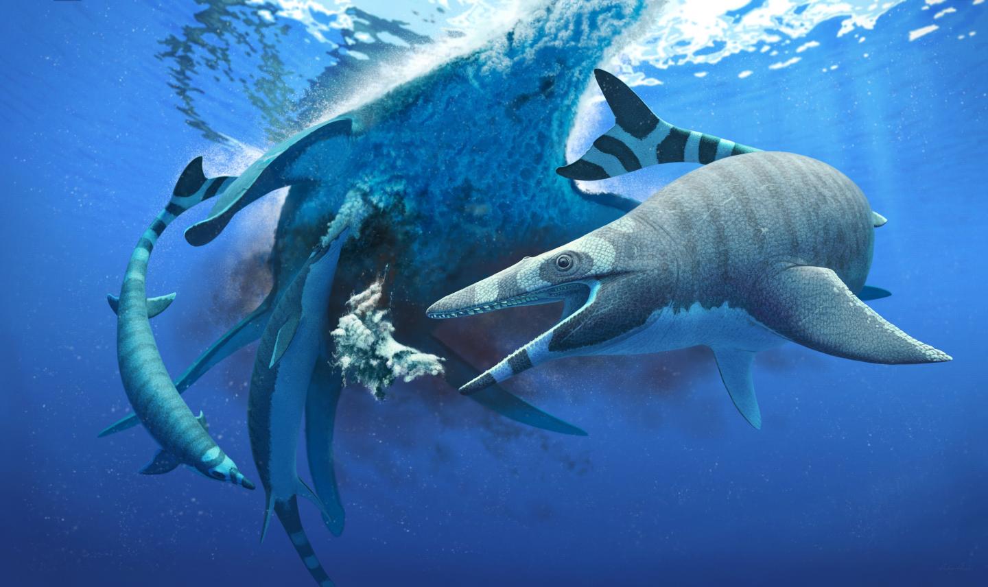 Dinosaur-era sea lizard had teeth like a shar | EurekAlert!