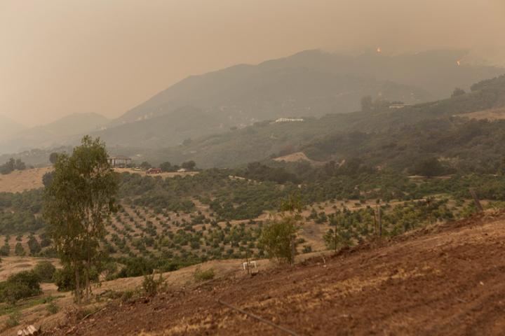 Social Media Can Help Predict Air Quality During Wildfire