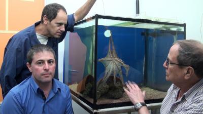 Nesher, Levy and Hochner, Hebrew University