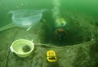 Excavating a 6,000-year-old Submerged Settlement off the Baltic Coast of Northern Germany