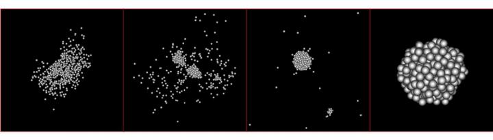 The asteroids Ryugu and Bennu were formed by the destruction of a large asteroid