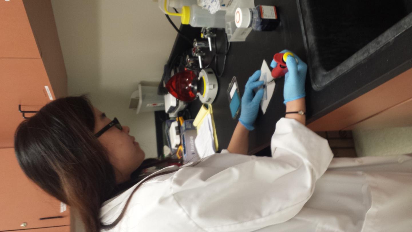 Hemp Shows Potential for Treating Ovarian Cancer