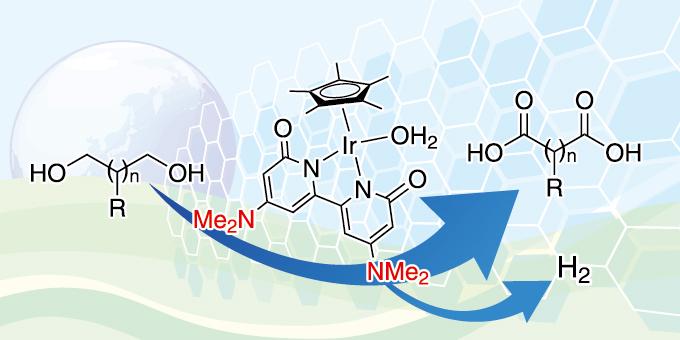 Improved dicarboxylic acid production