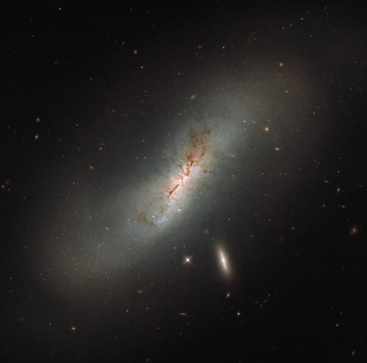 NGC 4424 and LEDA 213994
