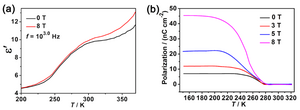 Magnetoelectric effect observed in a molecular-based compound of [(CH3)3NCH2CH2Br][Fe(Cl2An)2(H2O)2]