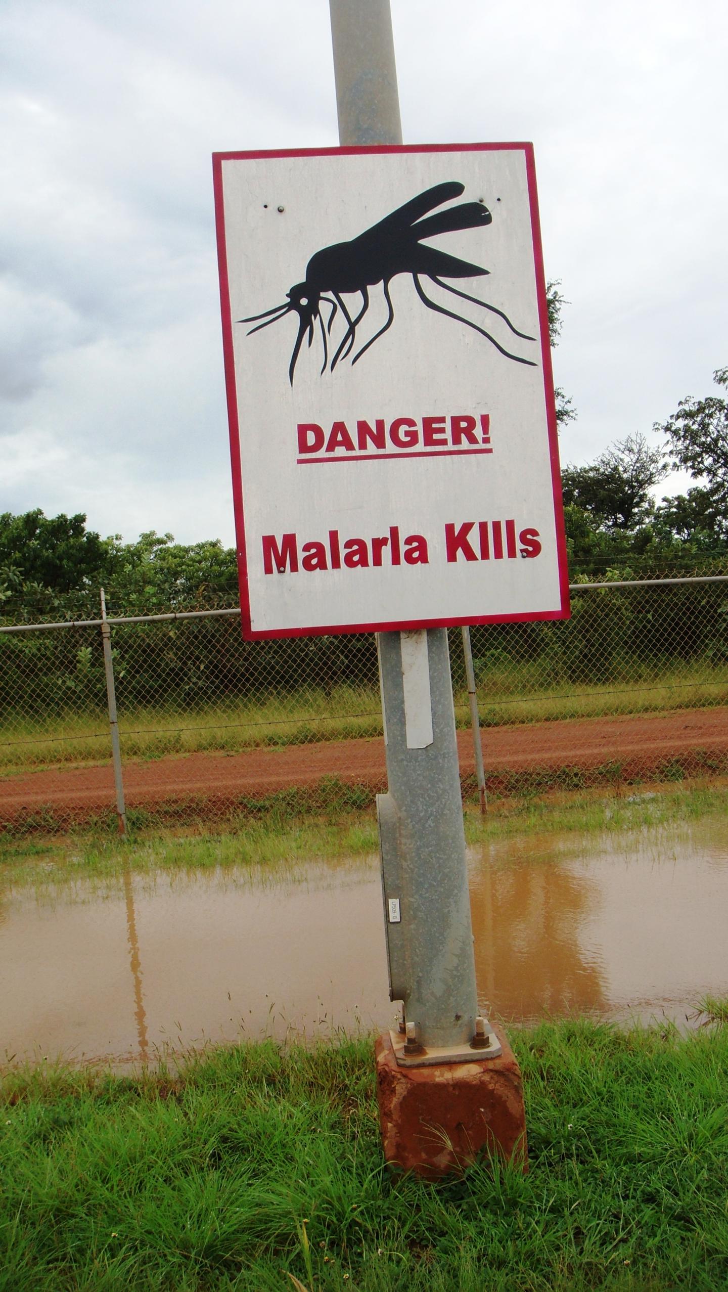 Kidney Dysfunction Contributes to Severe Malaria