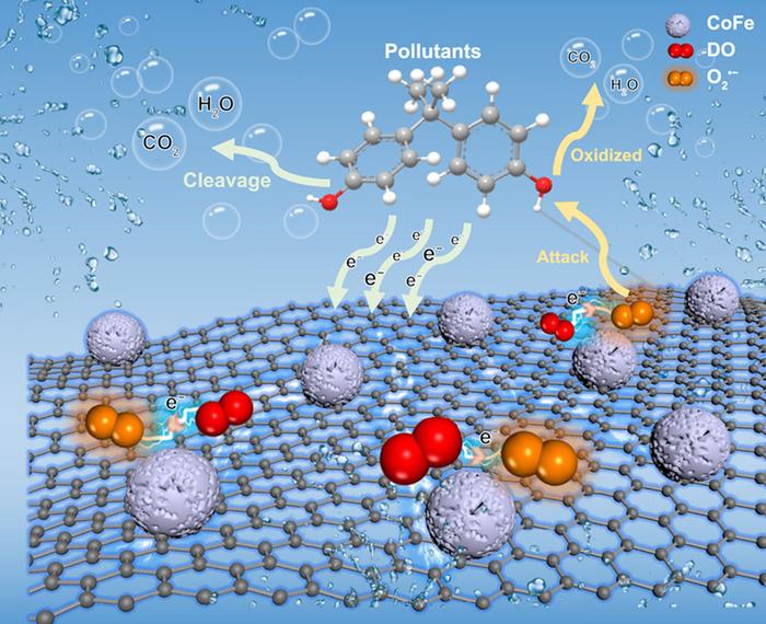 Graphical abstract [IMAGE] | EurekAlert! Science News Releases