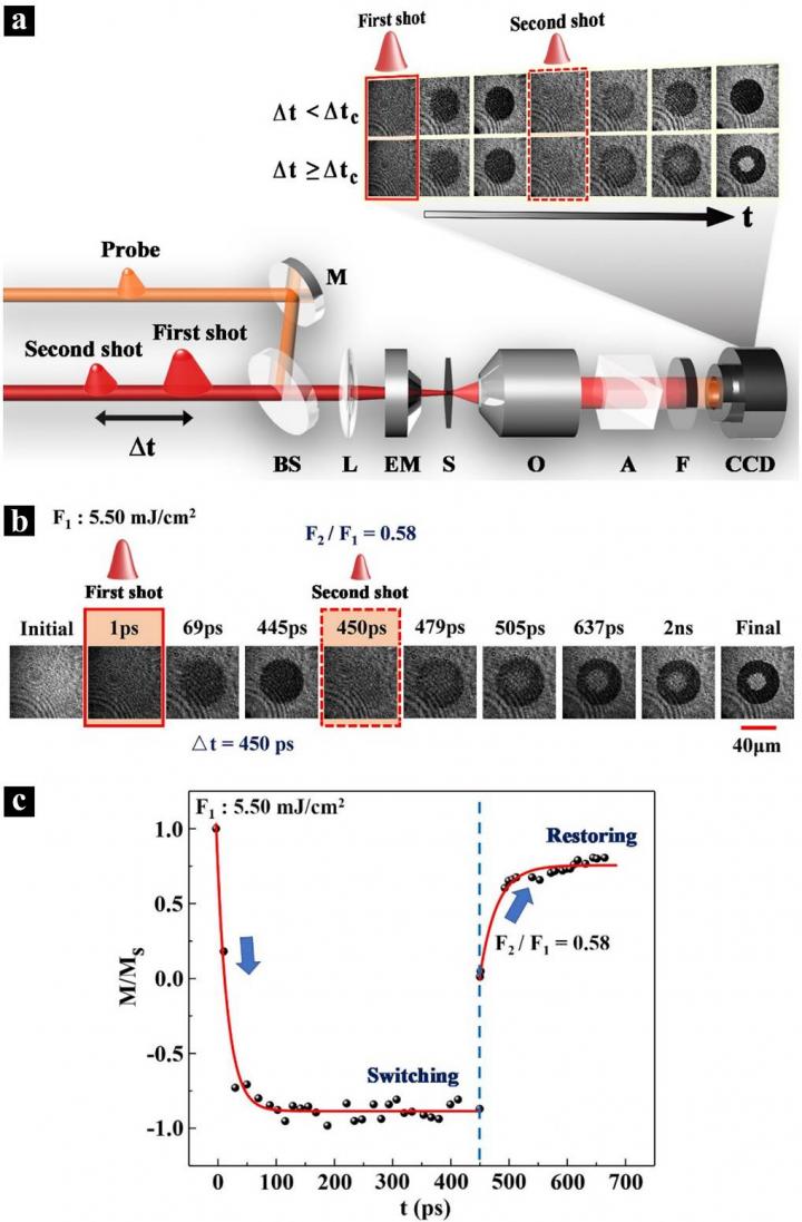 Figure 1 | Dual-shot magnetization dynamics acquired by a time-resolved magneto-optical imaging system.