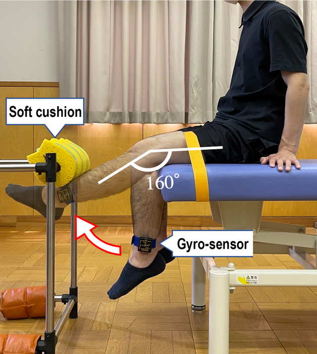 Measuring knee extension veloc [IMAGE] EurekAlert! Science News Releases