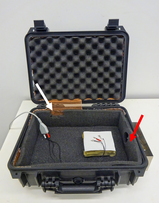 Bat hearing sensitivity equipm [IMAGE] EurekAlert! Science News Releases