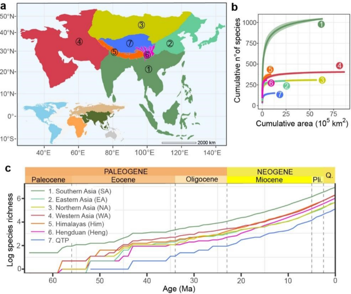 Biogeographic units and mammal richness in Asia.